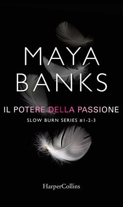 Il potere della passione. Slow burn series: Proteggimi-Tienimi-Salvami