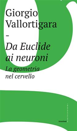 Da Euclide ai neuroni. La geometria nel cervello