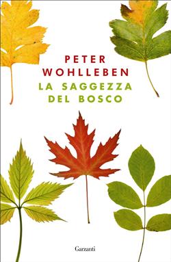 La saggezza del bosco