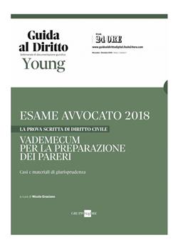 Esame avvocato 2018. La prova scritta di diritto civile. Vademecum per la preparazione dei pareri