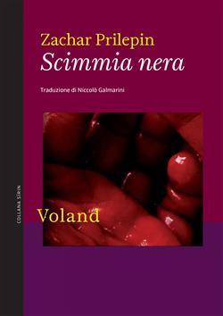 Scimmia nera