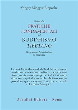 Guida alle pratiche fondamentali del buddhismo tibetano. Trasformare la confusione in chiarezza