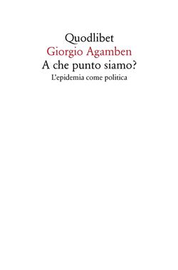 A che punto siamo? L'epidemia come politica