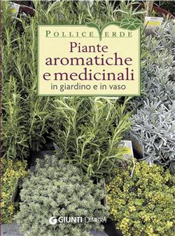 Piante aromatiche e medicinali in giardino e in vaso