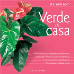 Verde in casa