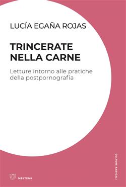 Trincerate nella carne. Letture intorno alle pratiche della postpornografia