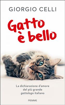 Gatto è bello