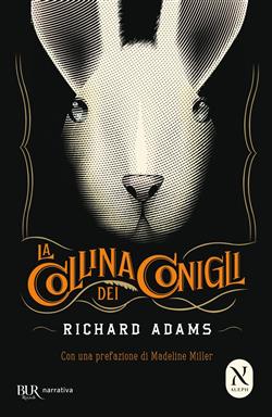 La collina dei conigli