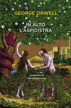 In alto l'aspidistra